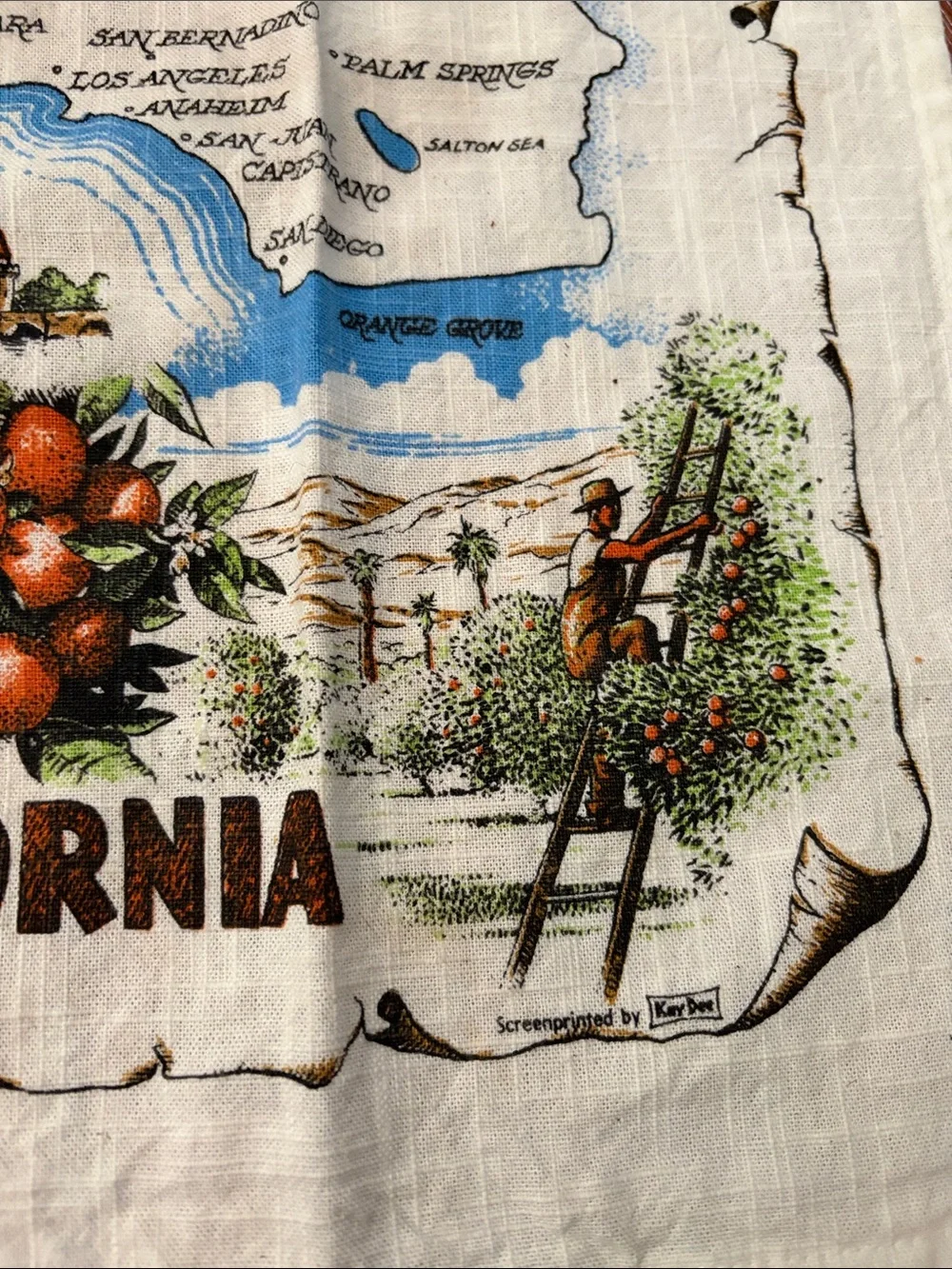 California Illustrated Tea Towel - Multi